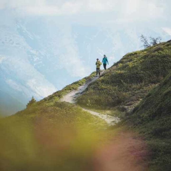 icebreaker Merino Men's Hike+ Medium Crew Sedimentary Socks - Blaze/Port/Snow