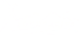 X-Boundaries