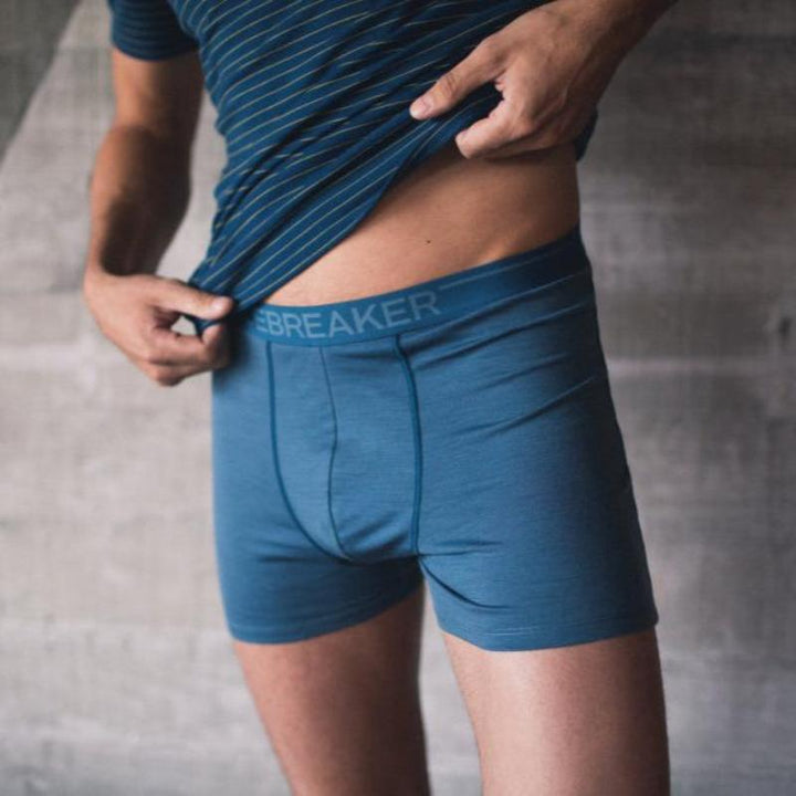 Icebreaker Merino 150 Men's Anatomica Boxers Briefs Underwear