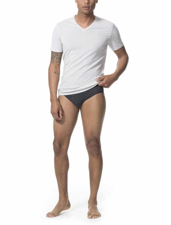 Icebreaker Merino Wool Men's Anatomica Briefs Underwear