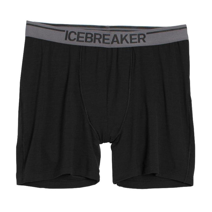 icebreaker Merino Undergarment Merino 150 Men's Anatomica Boxers Briefs Underwear