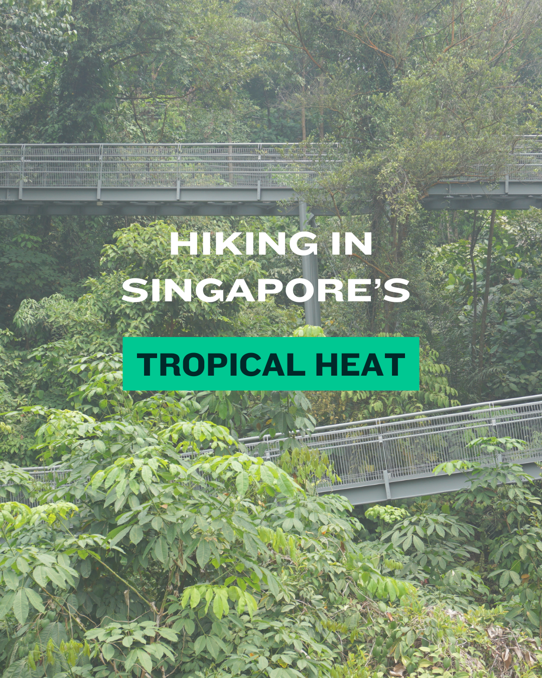 What to Wear Hiking in Singapore’s Tropical Heat