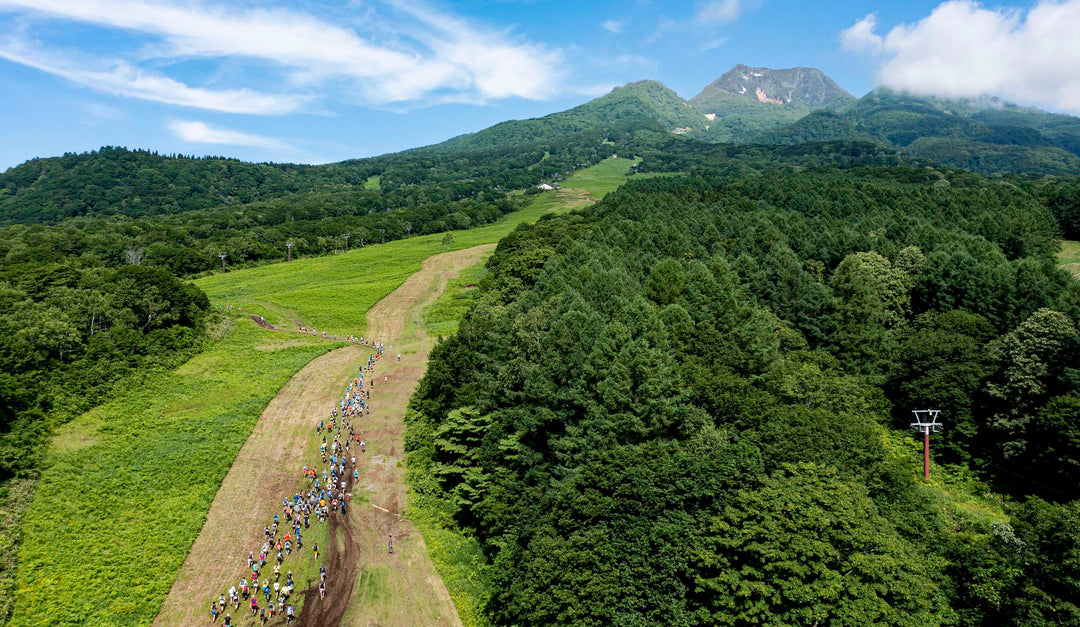Trail runners moving through the forests of Myoko, Niigata, Japan