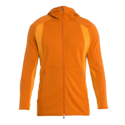 icebreaker Merino Jacket Men's 260 Quantum Zoneknit™ Merino Long Sleeve Zip Hoodie -  Clove Silver Gold