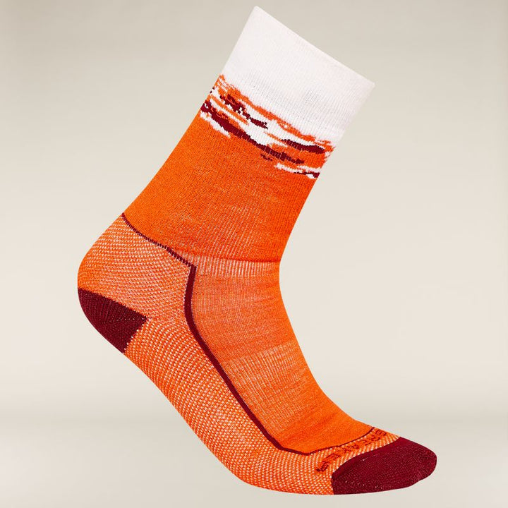 icebreaker Merino Men's Hike+ Medium Crew Sedimentary Socks - Blaze/Port/Snow