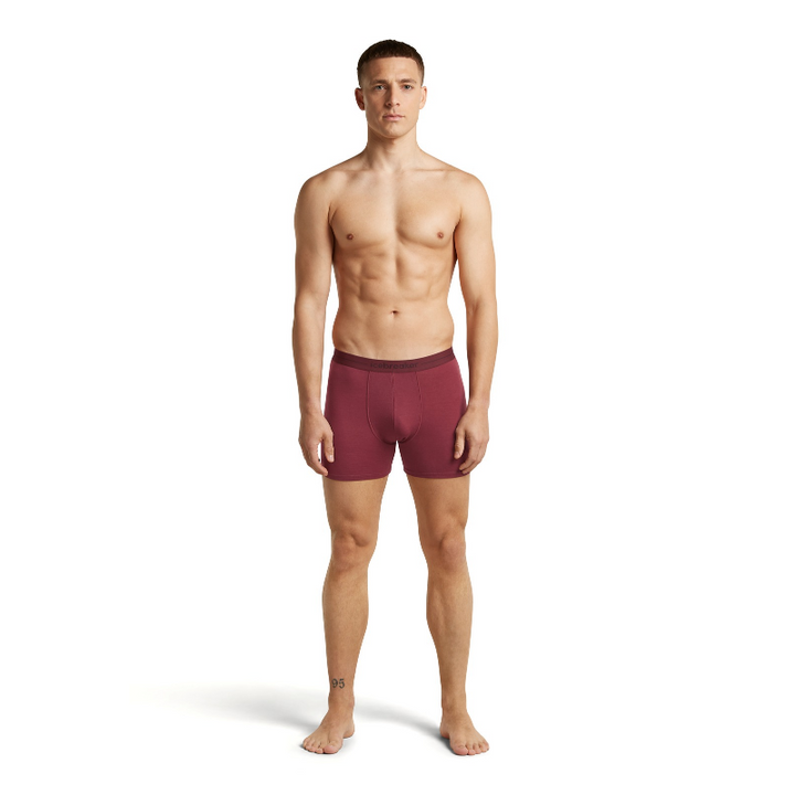 icebreaker Merino Men's Anatomica Boxers
