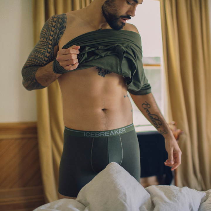 icebreaker Merino Undergarment Men's Anatomica Boxers - Loden Topaz