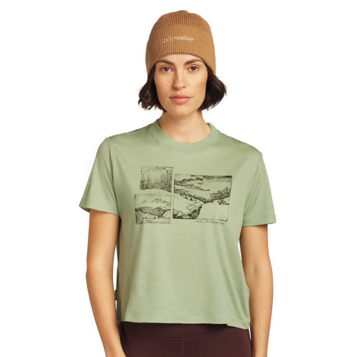 icebreaker Merino Beanie Unisex All Day Toque Beanie