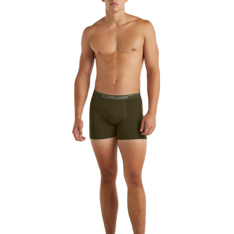 icebreaker Merino Undergarment Men's Anatomica Boxers - Loden Topaz
