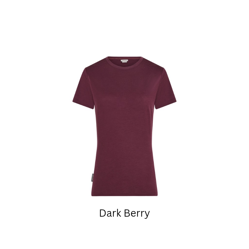 Icebreaker Merino Women's Merino 150 Tech Lite III Short Sleeve Tee