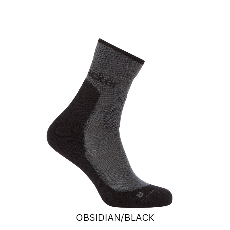 icebreaker Merino Women's Merino Hike+ Medium Crew Socks