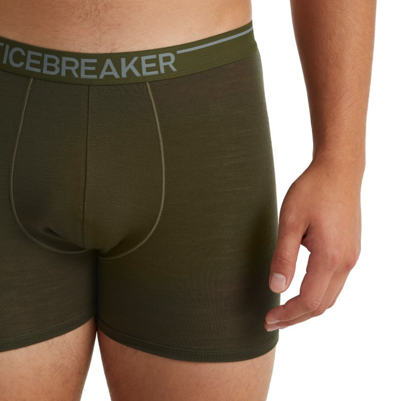 icebreaker Merino Undergarment Men's Anatomica Boxers - Loden Topaz