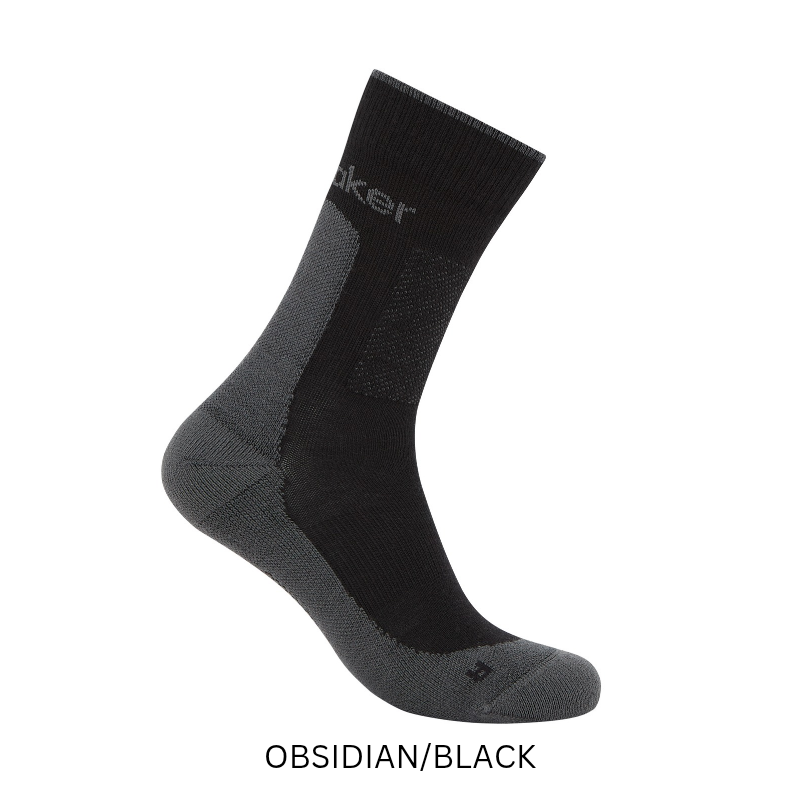 icebreaker Merino Men's Merino Hike+ Medium Crew Socks