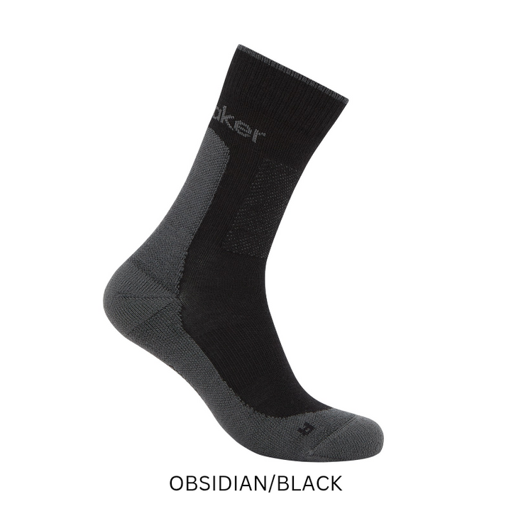 icebreaker Merino Men's Merino Hike+ Medium Crew Socks