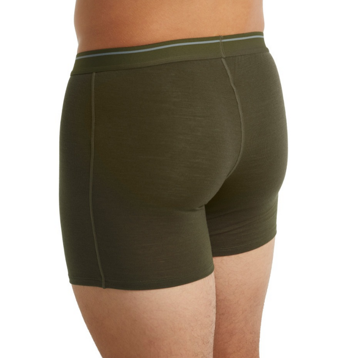 icebreaker Merino Undergarment Men's Anatomica Boxers - Loden Topaz