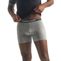 icebreaker Merino Undergarment Men's Anatomica Boxers