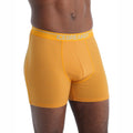 icebreaker Merino Undergarment Men's Anatomica Boxers