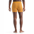 icebreaker Merino Undergarment Men's Anatomica Boxers