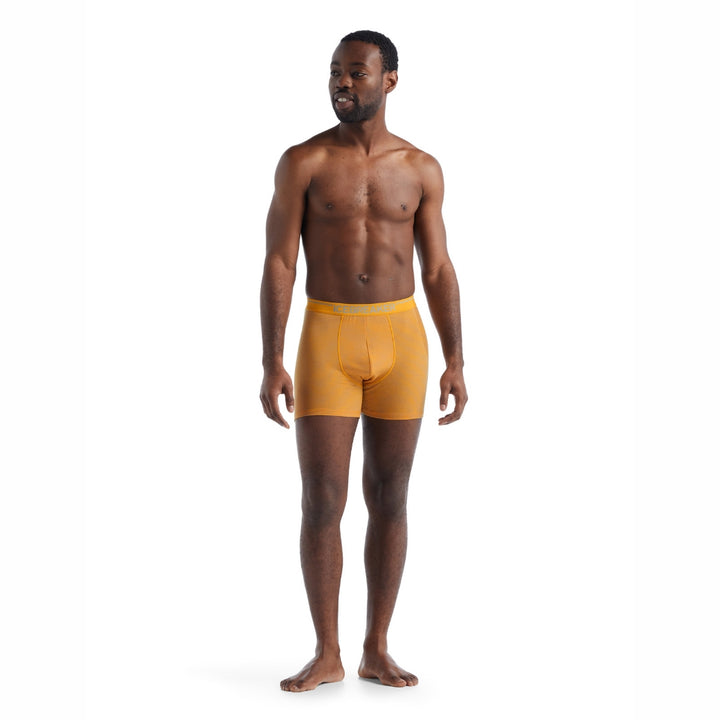 icebreaker Merino Undergarment Men's Anatomica Boxers - Electric Metro Heather