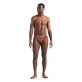 icebreaker Merino Undergarment Men's Anatomica Briefs Grape