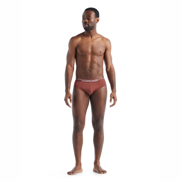 icebreaker Merino Undergarment Men's Anatomica Briefs Grape – X-Boundaries, MontBell