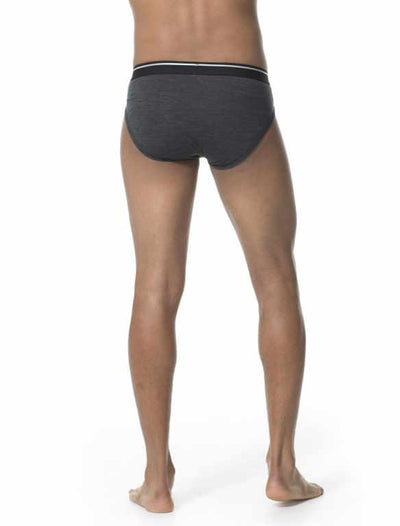Icebreaker Merino Wool Men's Anatomica Briefs Underwear