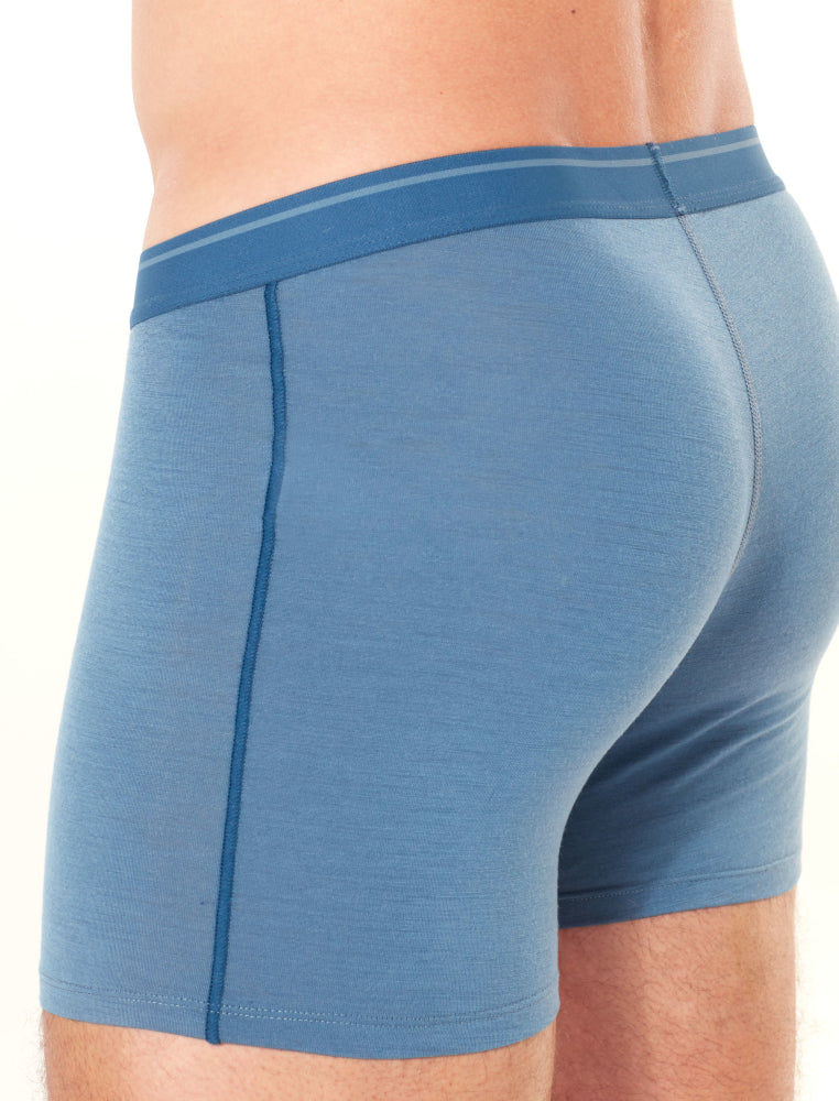 Icebreaker Merino 150 Men's Anatomica Boxers Briefs Underwear