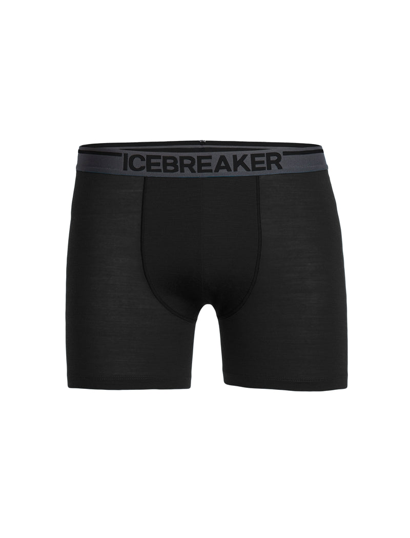 Icebreaker Undergarment Merino 150 Men&